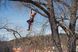Мотузка альпіністська Climbing 534098701 фото 2