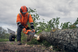 Бензопила Husqvarna 540XP III 970793114 фото 3