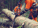 Бензопила Husqvarna 564XP 970711418 фото 4
